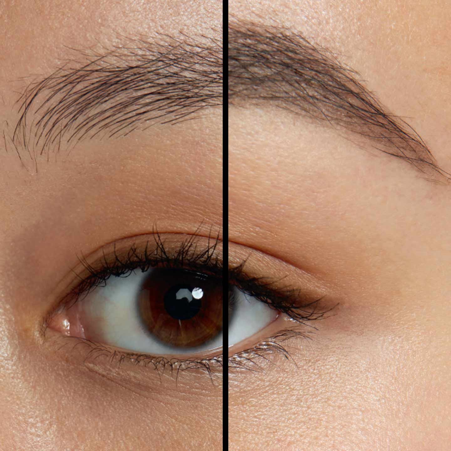 ba_macro_medium_mny_maky_browextensions_launch_1440x1440