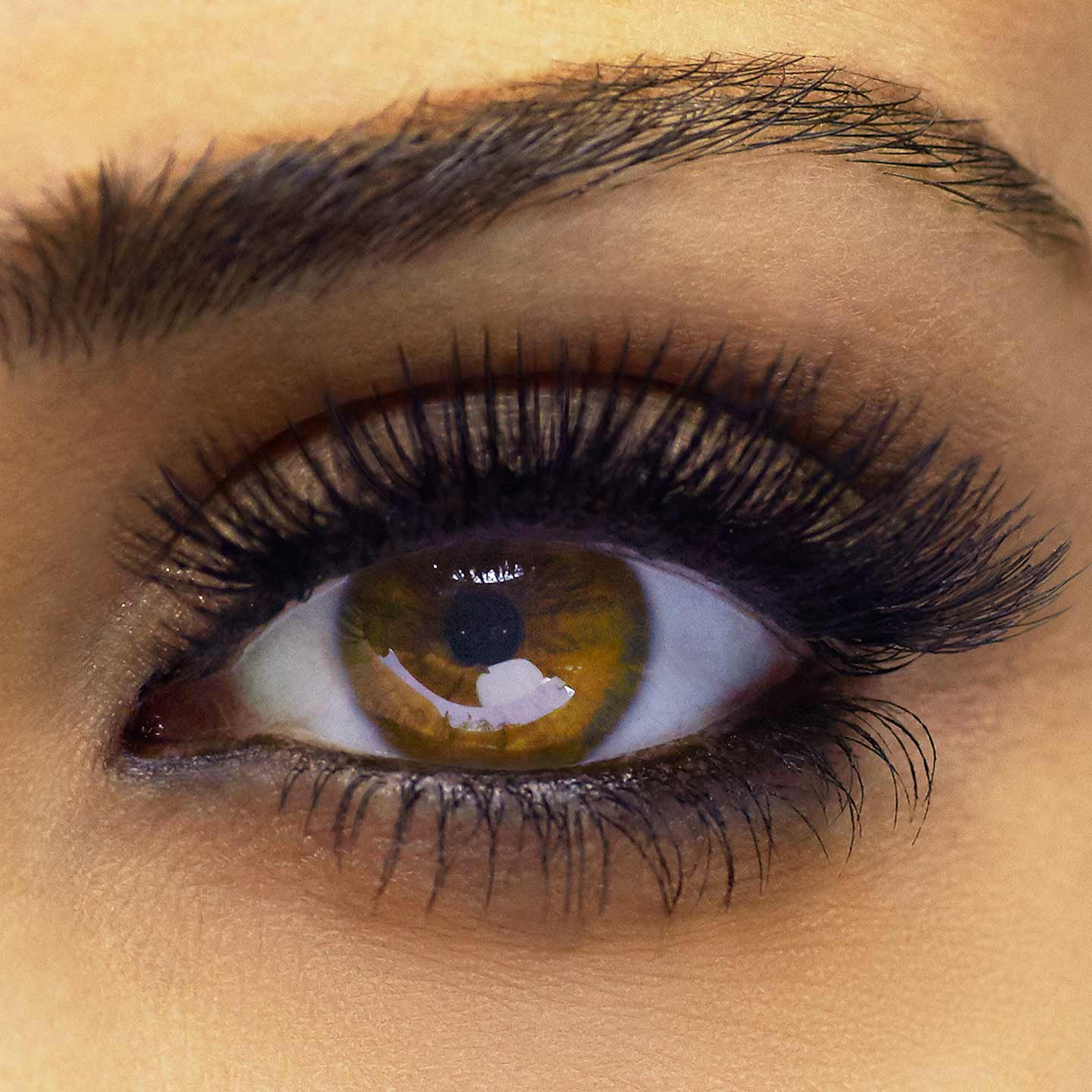 Mascara lash deals sensational maybelline