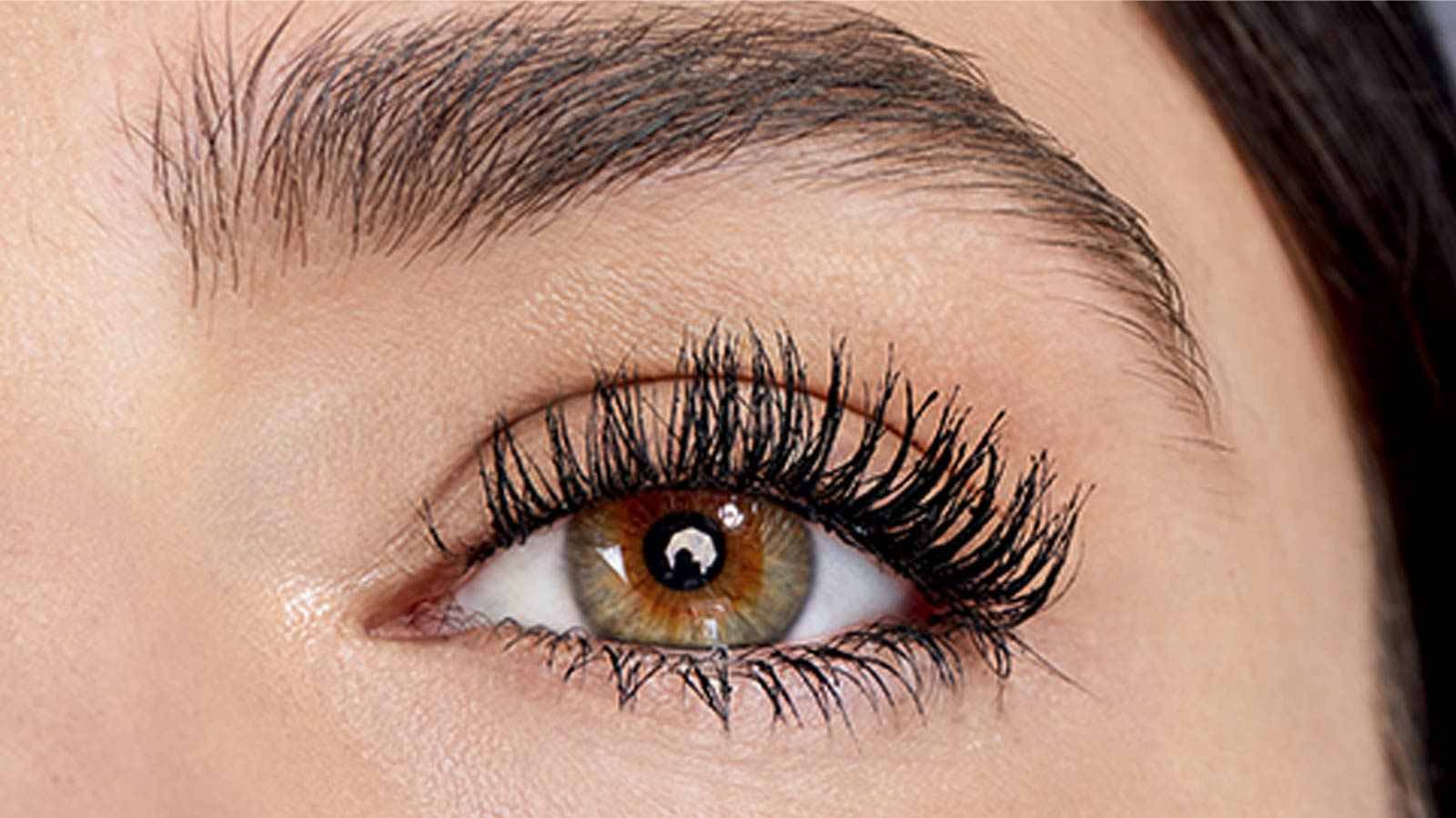 Maybelline the falsies deals lash lift mascara