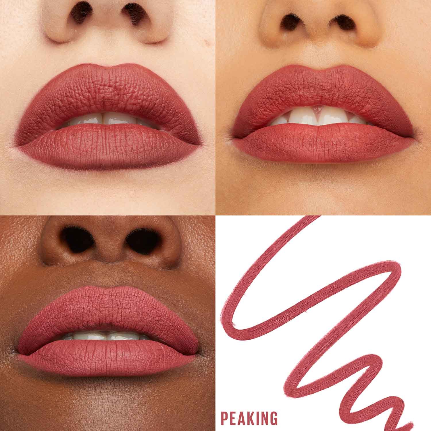 MNY Lip Lifter Liner 09 Peaking Shade Card